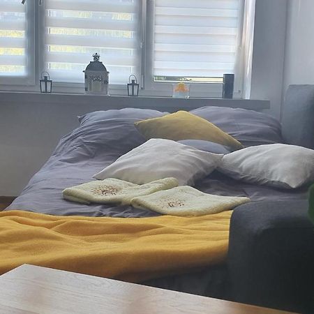 Apartament Park Saski Sandomierz Luaran gambar