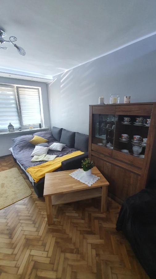 Apartament Park Saski Sandomierz Luaran gambar