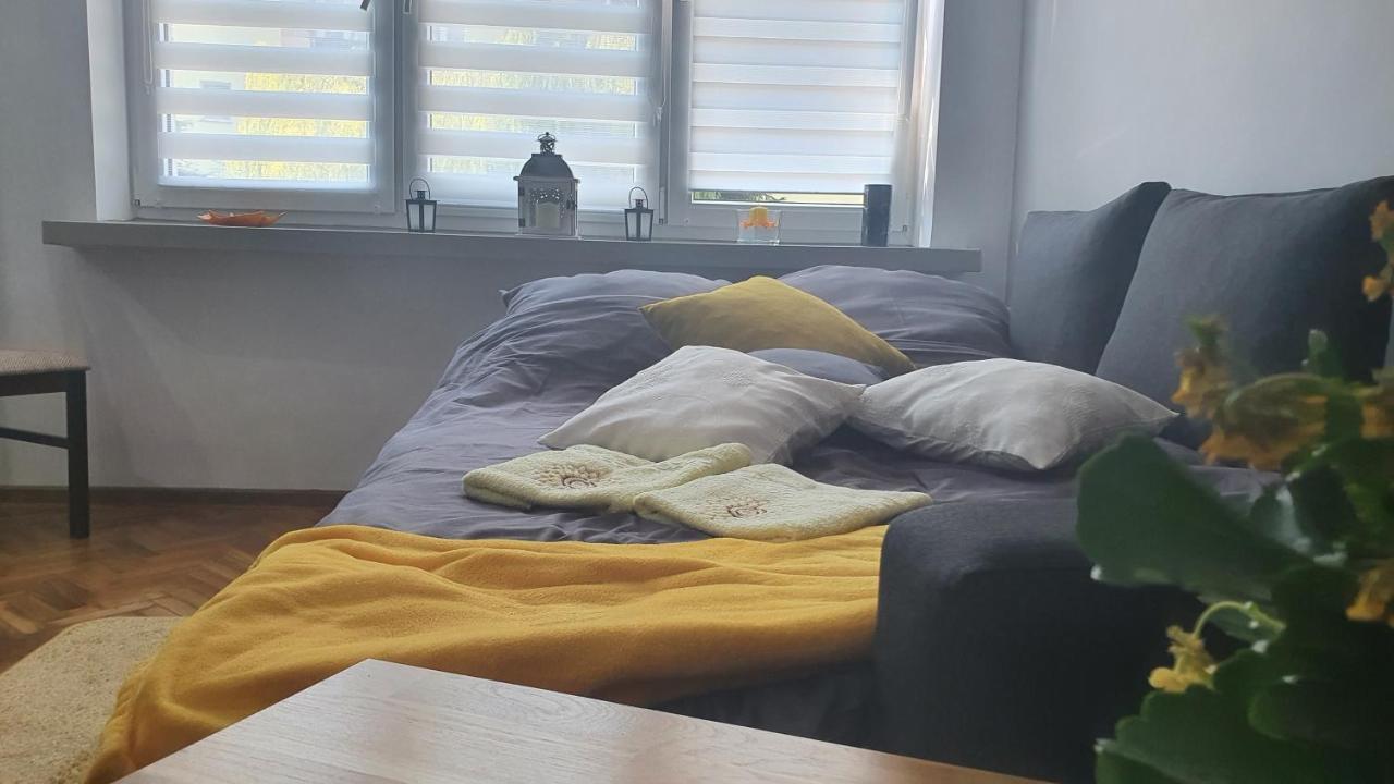 Apartament Park Saski Sandomierz Luaran gambar